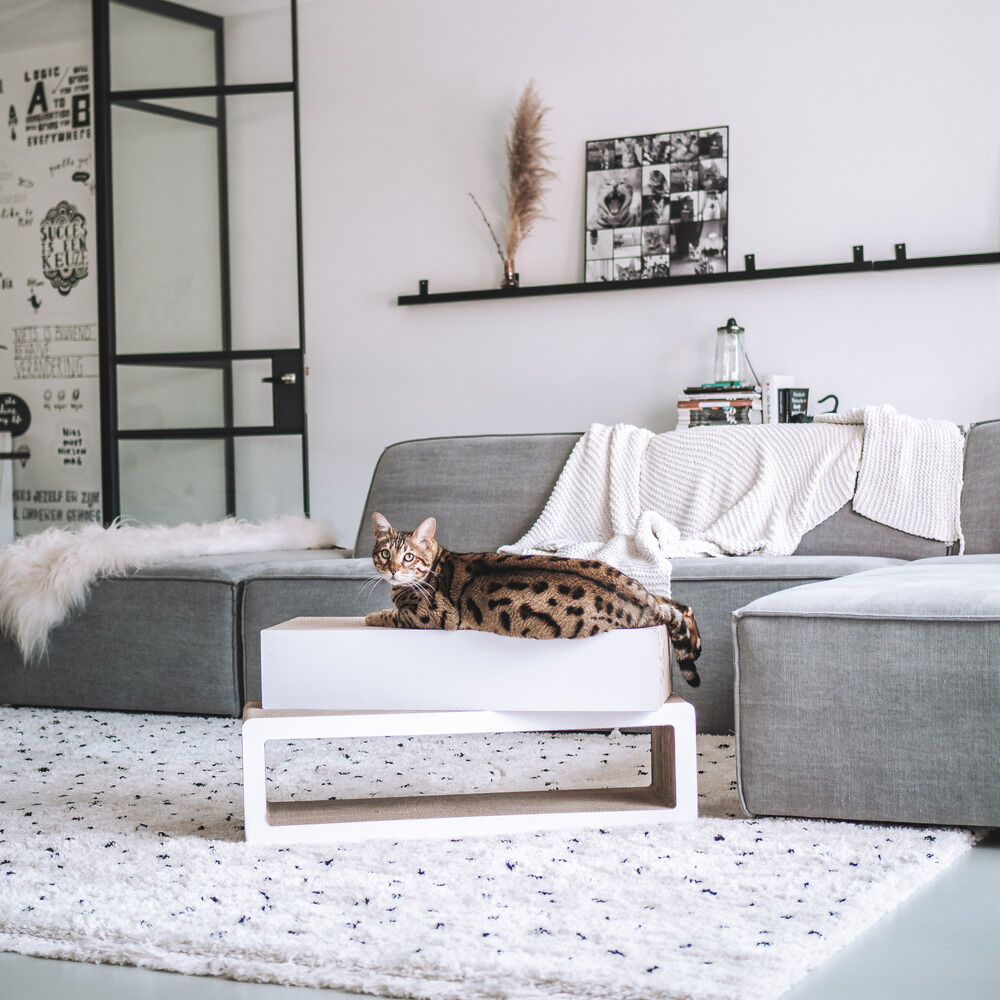 District 70 STRETCH - Krabmeubel - Wit