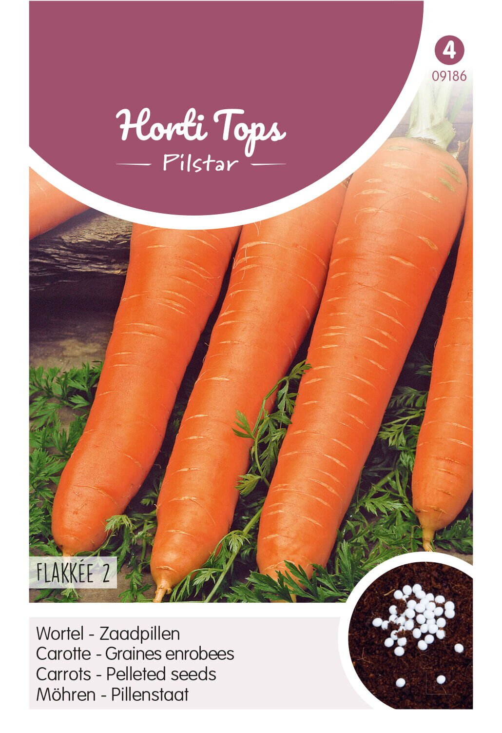 Hortitops Wortelen Daucus carota Winter Flakkeese - Wortelen