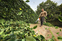 Stihl BGA 110 - Accu bladblazer