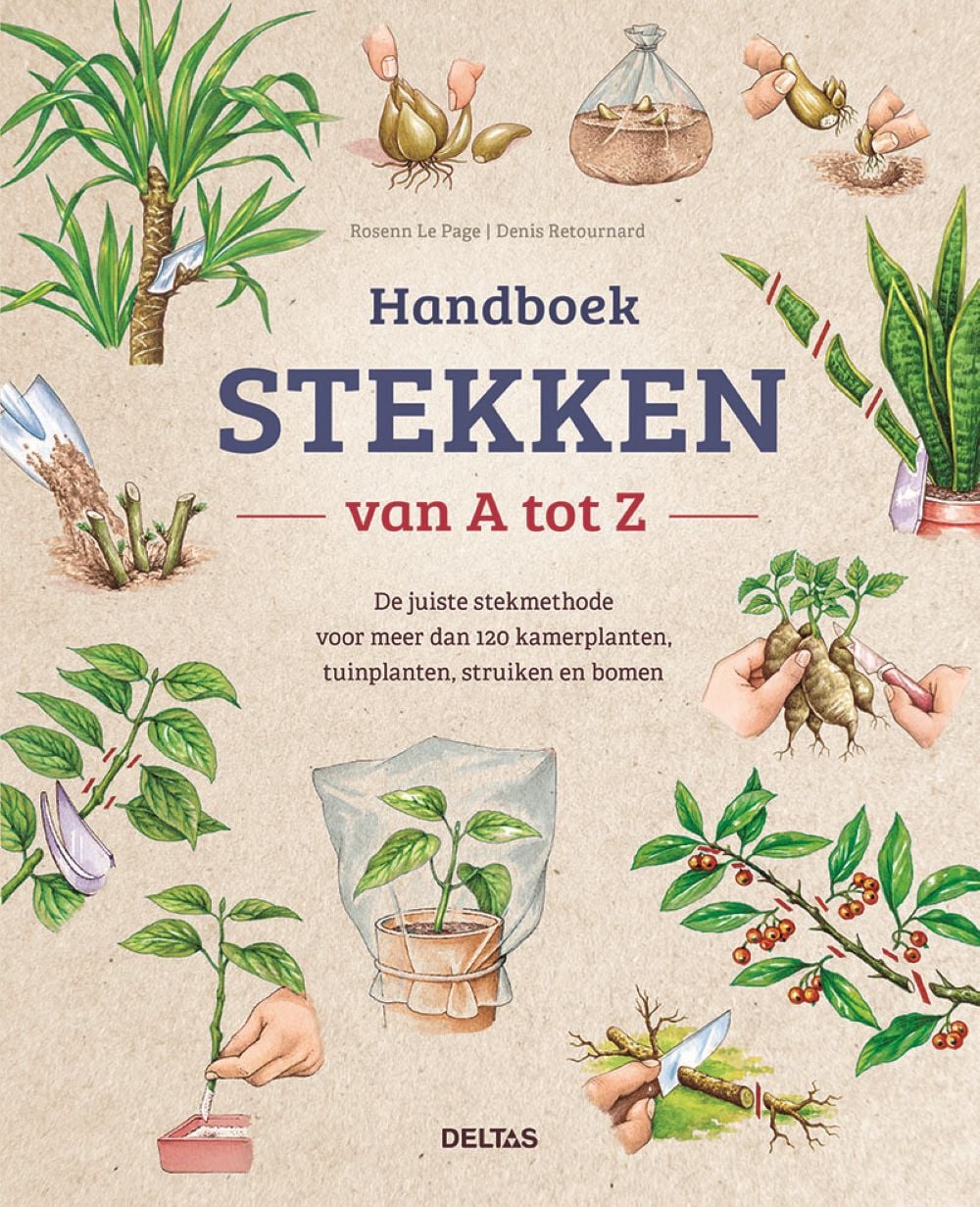 Delta's Stekken van A tot Z - Boek