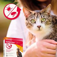 Beaphar Fiprotec Kat 3+1 - Vlooien- en tekenmiddel - 4 Stuks