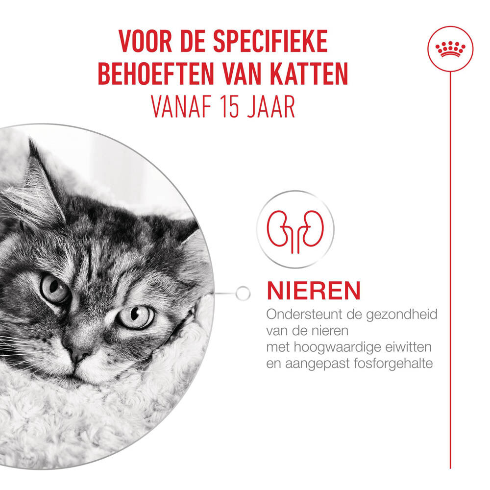 Royal Canin Ageing 15+ - Kattenvoer - 1 Gram
