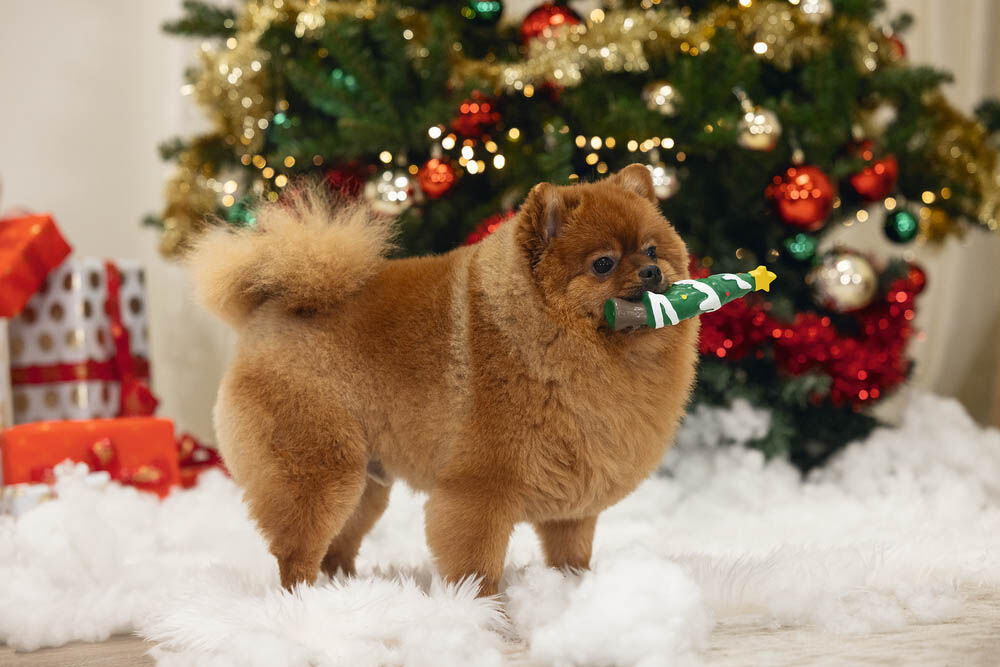 Beeztees Kerstboom - Kerst Hondenspeelgoed - 16x5x5 cm