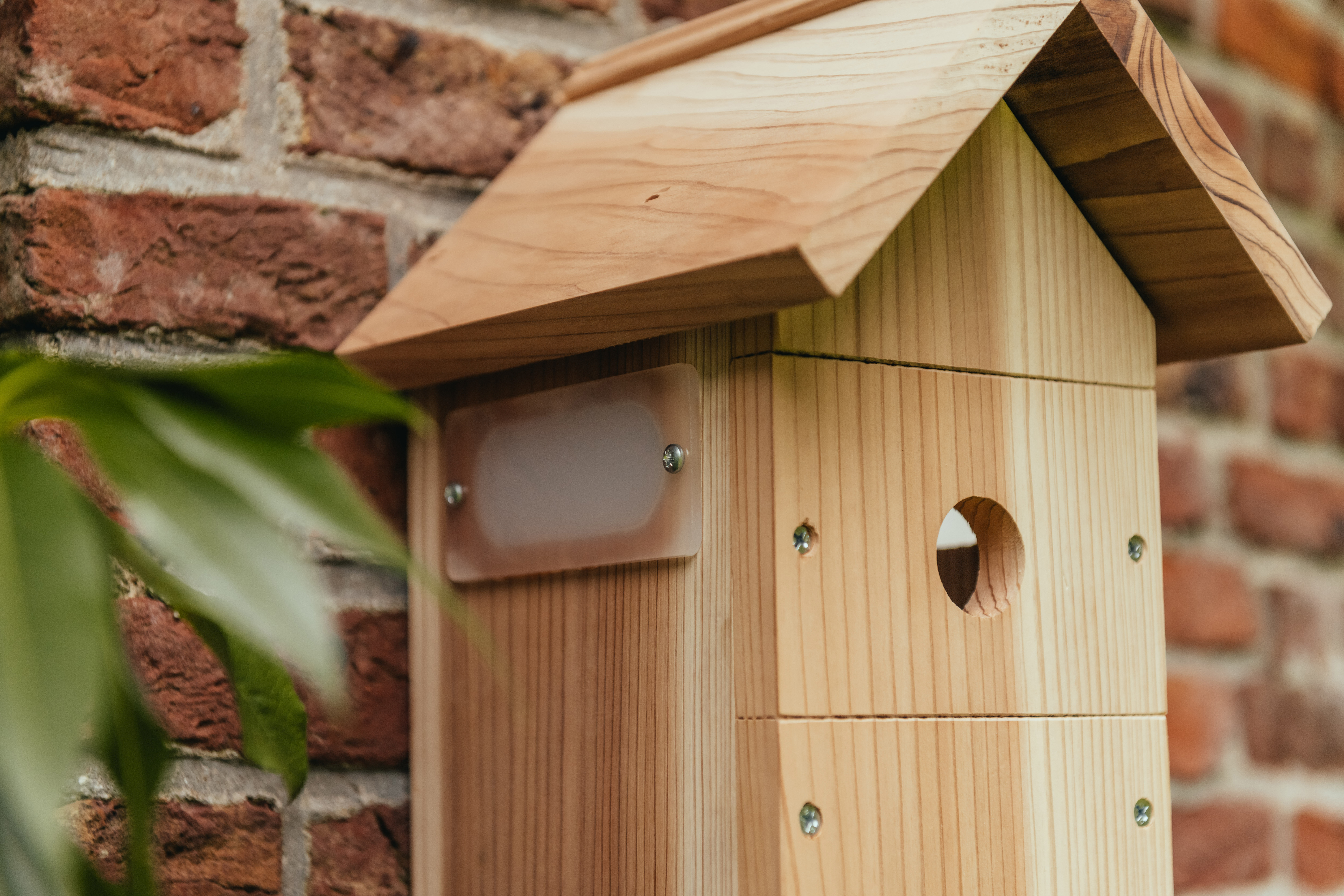 Nestera - Nestkast - met Wifi-Camera - Bruin