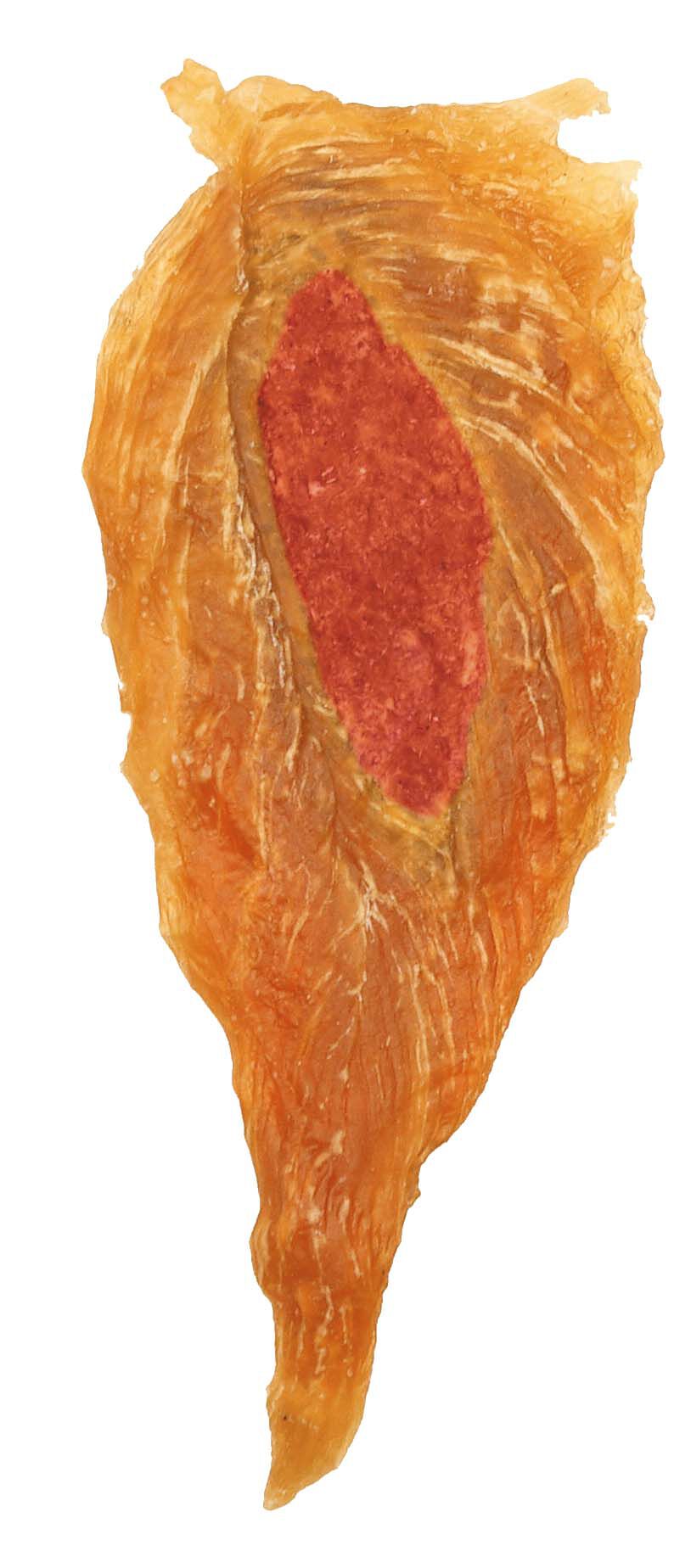 8in1 Fillets Pro Active - Hondensnack - 80 Gram - kip