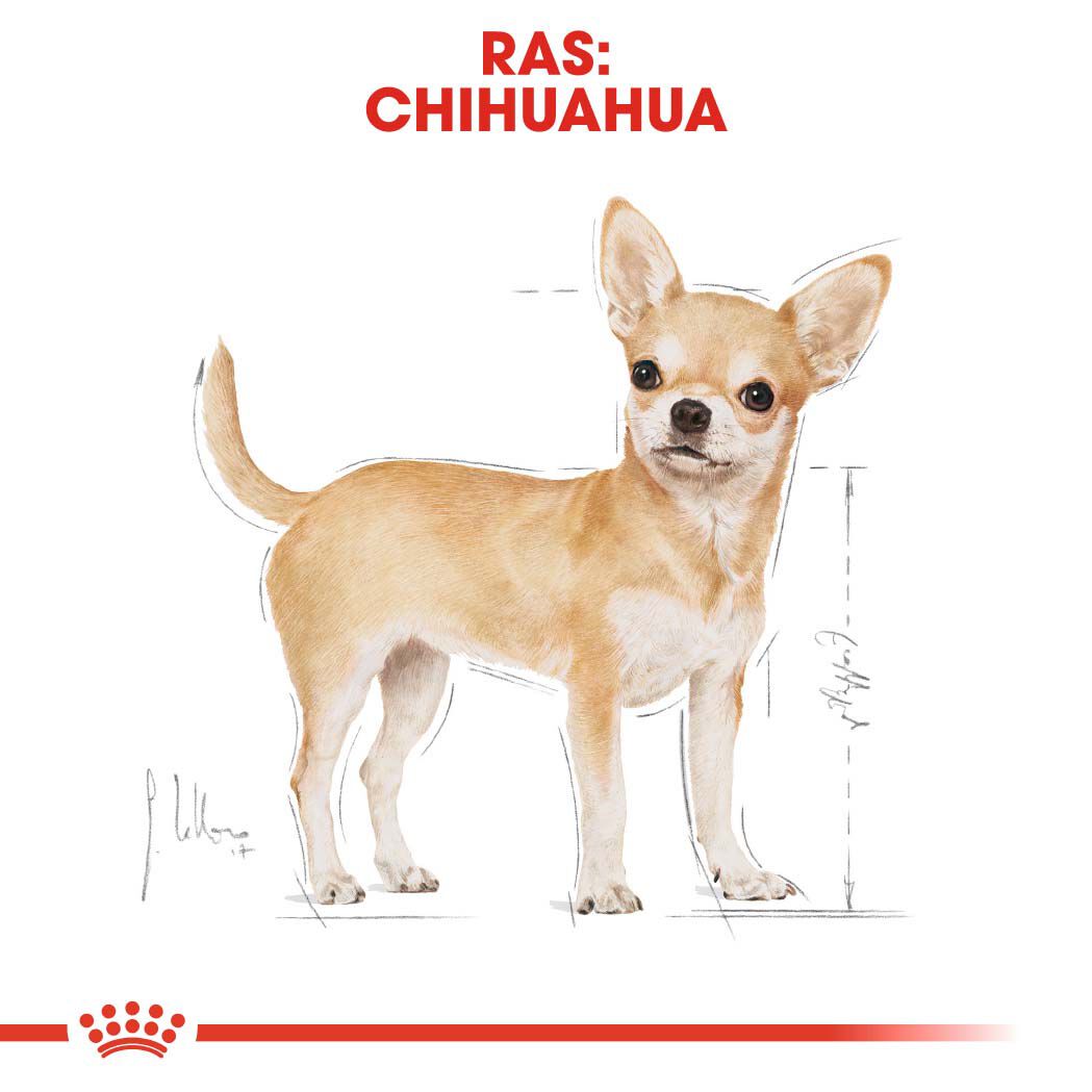 Royal Canin BHN Chihuahua Adult - Hondenvoer - 1500 Gram - gevogelte