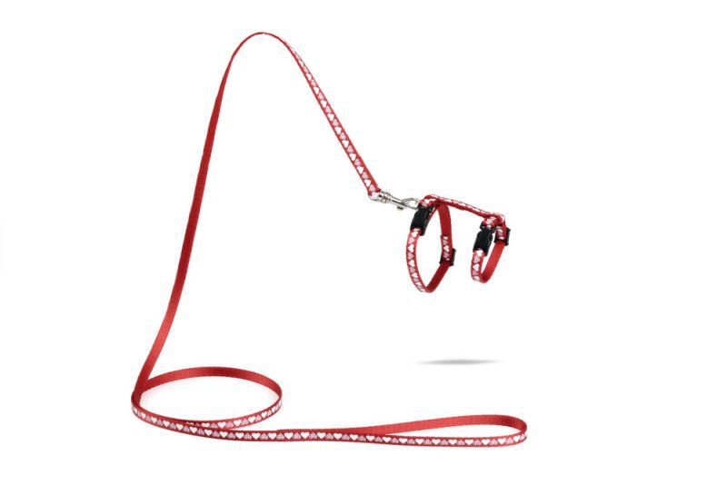 BEEZTEES Hearts - Kittentuigje - Rood - 100 cm