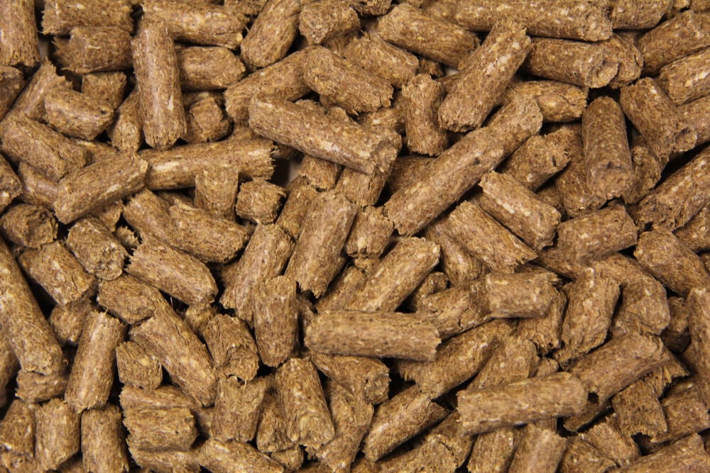 Voermeesters Huid Vitaal - Specialiteit - 20 Kilogram - Zak