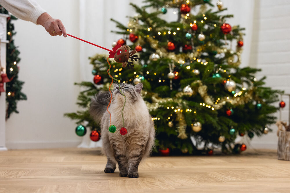 Beeztees Kattenhengel Rendier - Kattenspeeltje - Multi - 45 cm