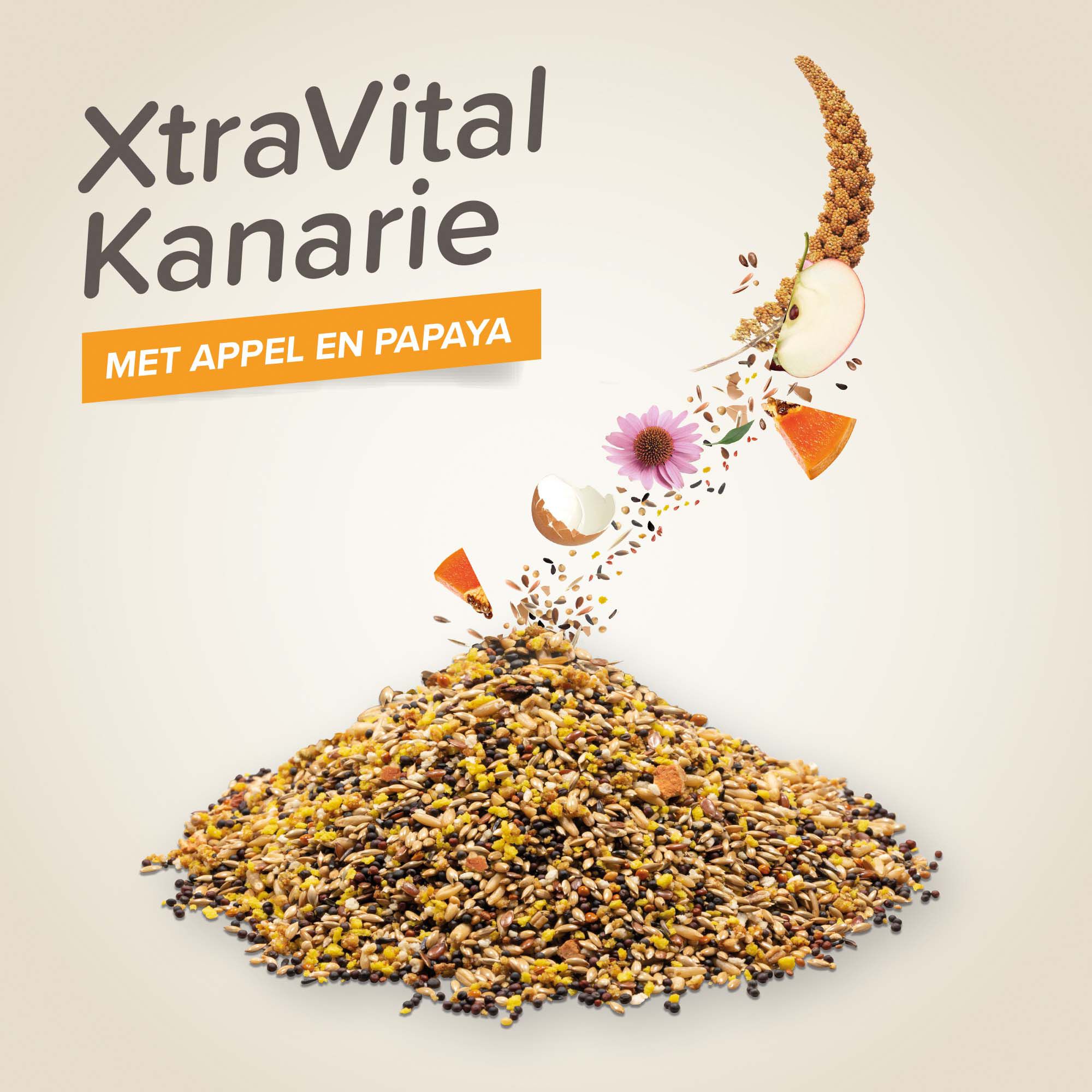 Beaphar Xtra Vital  Kanarie - Vogelvoer - 500 Gram - Volledig voer