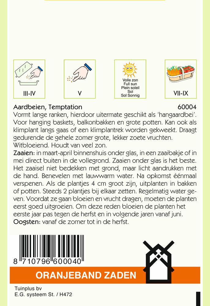 Oranjeband zaden Hangaardbeien Temptation - Groentezaden