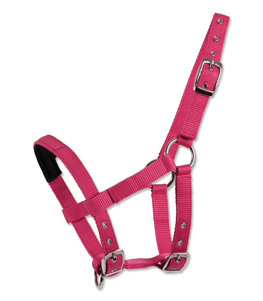 Waldhausen Mini - Halster - Roze - Mini shetlander Waldhausen Mini - Halster - Roze - Mini shetlander
