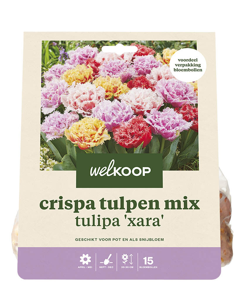 Welkoop Dubbele Tulpen mix Anouk - Bloembollen