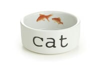Beeztees Snapshot - Kat - Voer of drinkbak - 5x11x12 cm