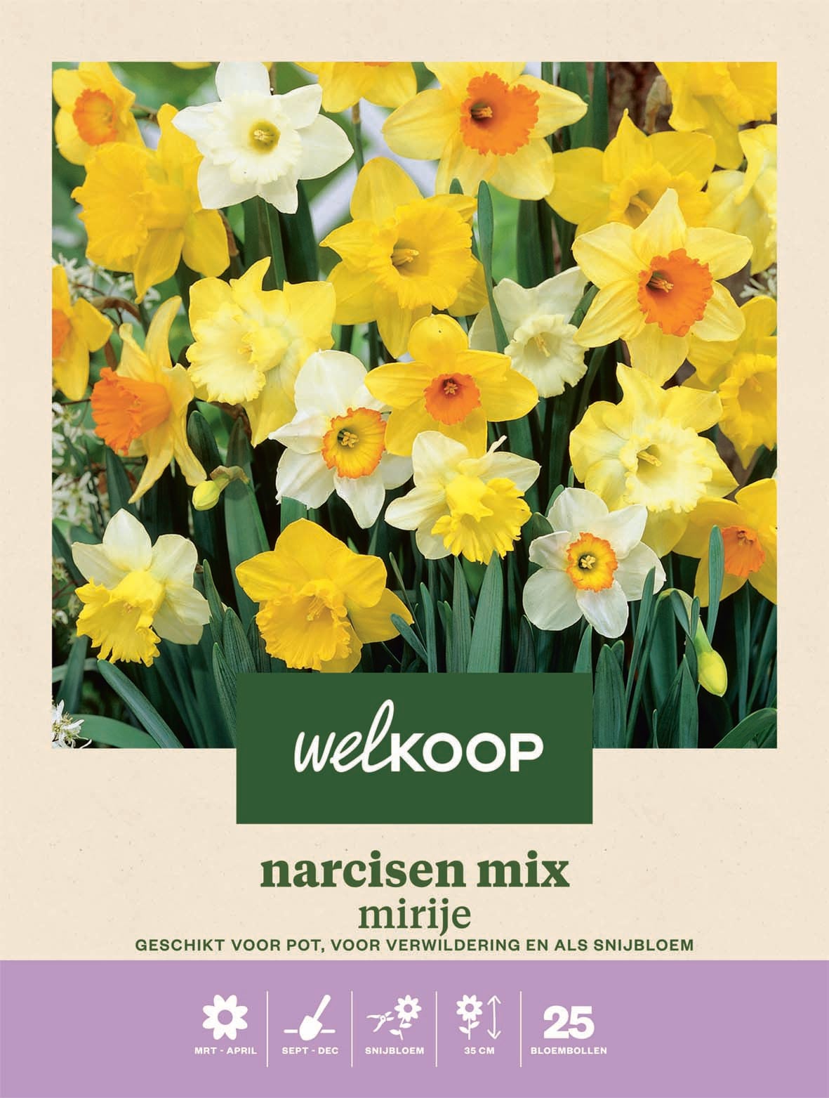 Welkoop Narcissen mix Mirije - Bloembollen Welkoop Narcissen mix Mirije - Bloembollen