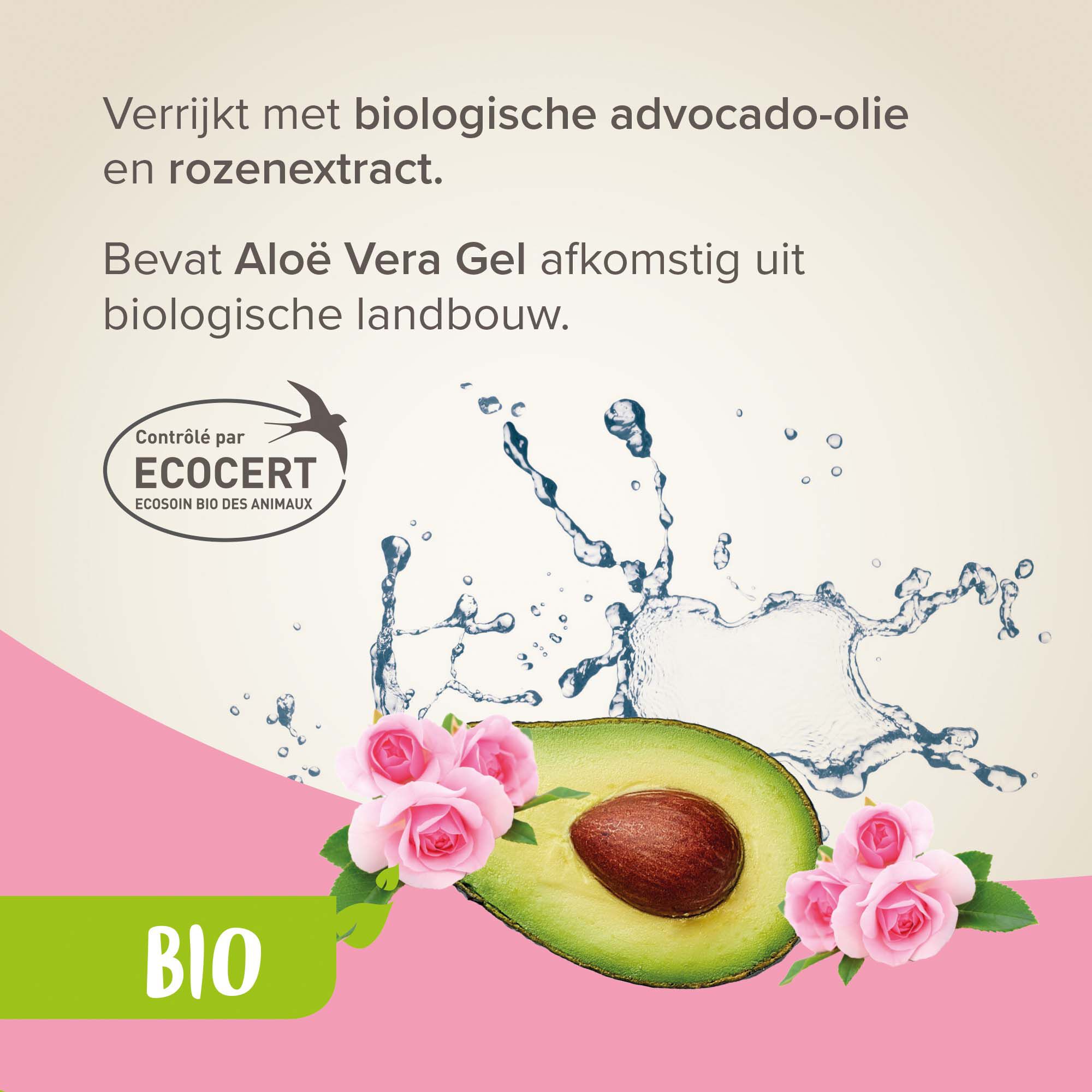 Beaphar Kat & Kitten Bio - Kattenshampoo - 200 Milliliter - 17x6.8x3.5 cm