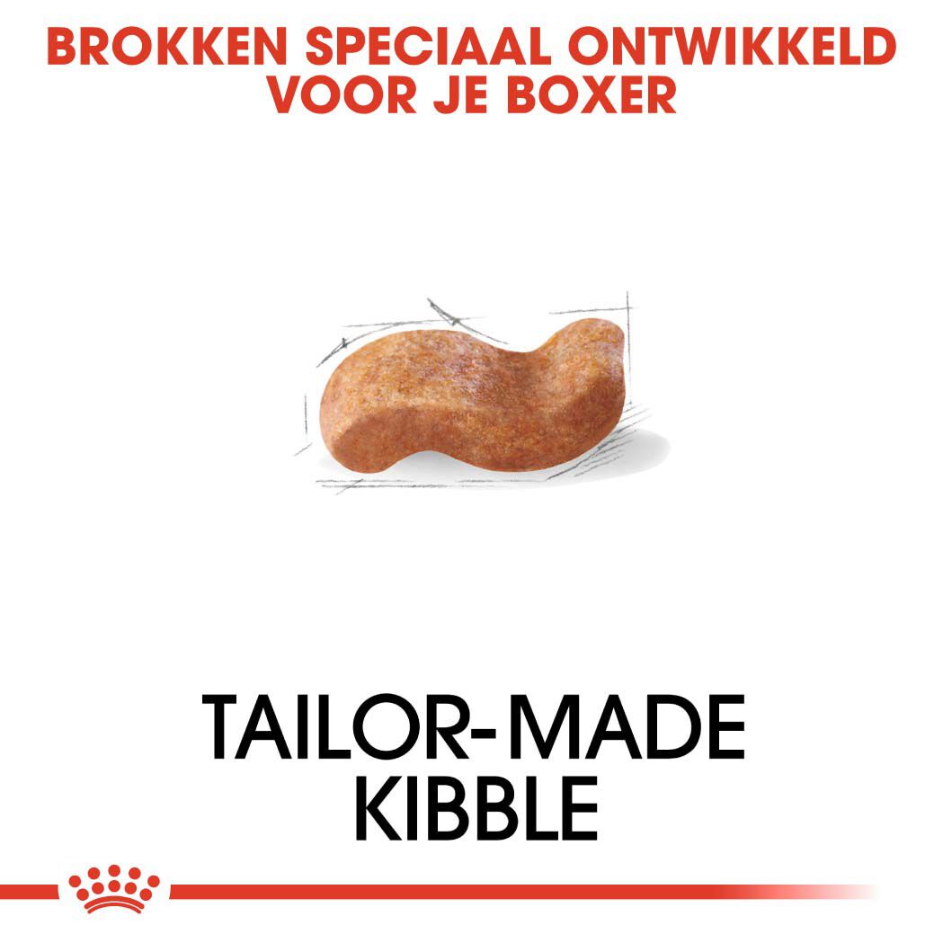 Royal Canin Boxer Adult - Hondenvoer - 12 - gevogelte