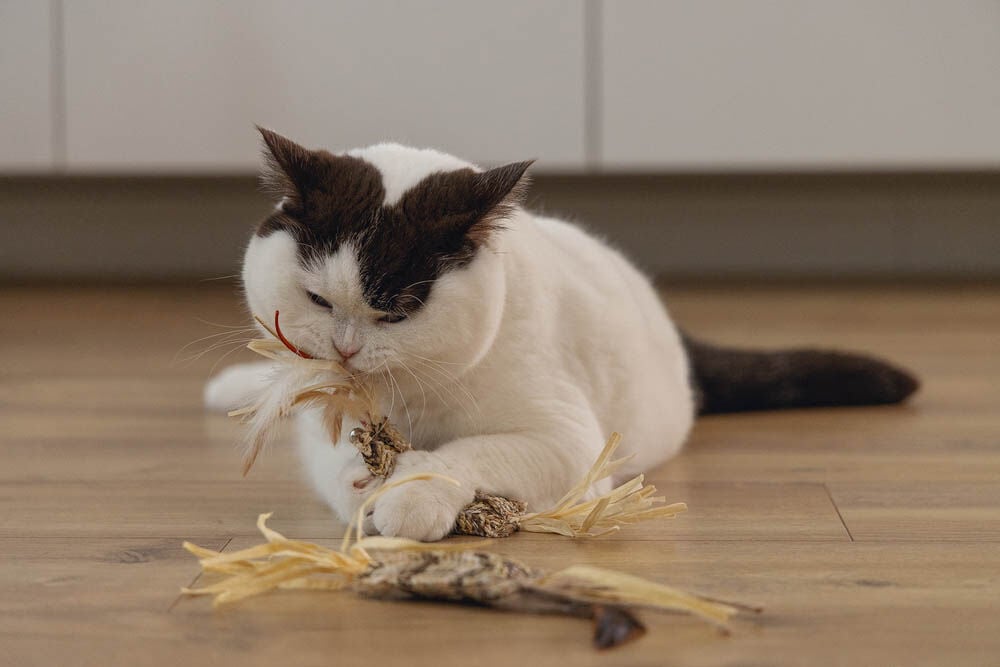 Beeztees Stick Omazo - Kattenspeeltje - Beige