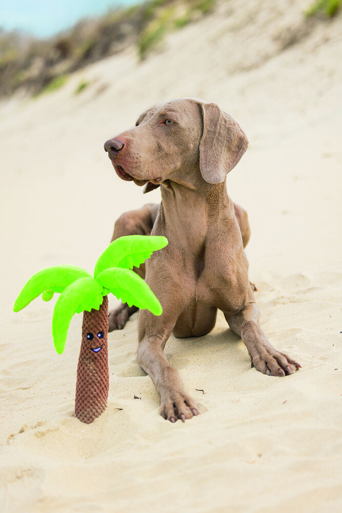 Beeztees Palmboom Knuffel - Hondenspeelgoed - bruin - 40x31x6 cm