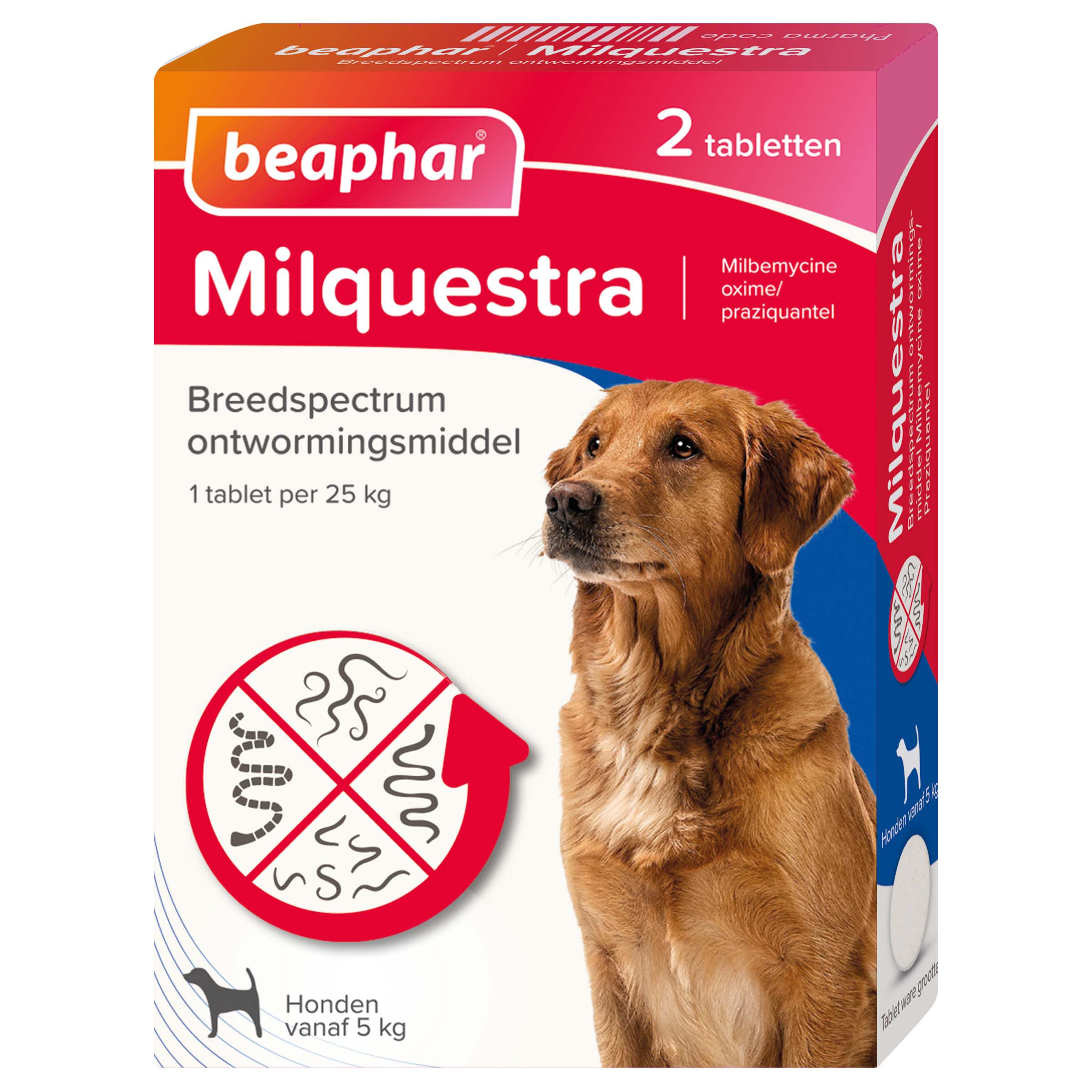 Beaphar Milquestra Hond 5-10kg - Wormenmiddel