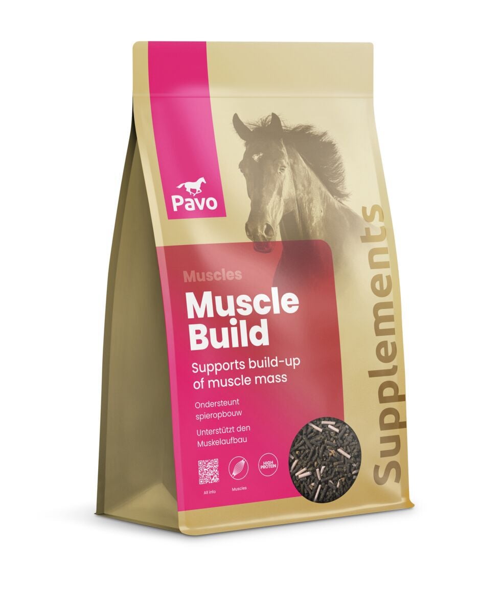 Pavo Musclebuild - Spiersupplement Pavo Musclebuild - Spiersupplement