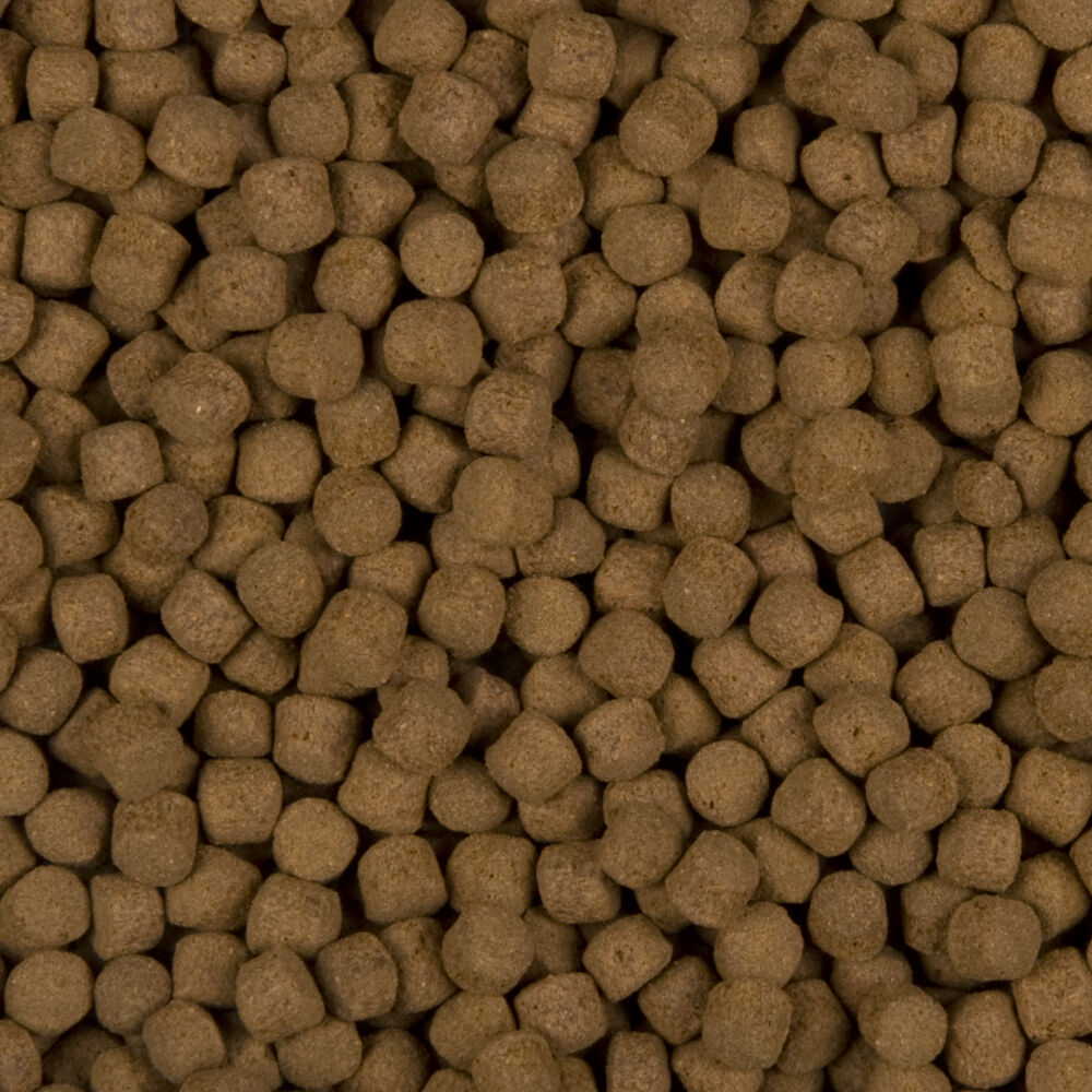 SaniKoi Excellent All-Round 6mm - Vijvervissenvoer - 3 Liter