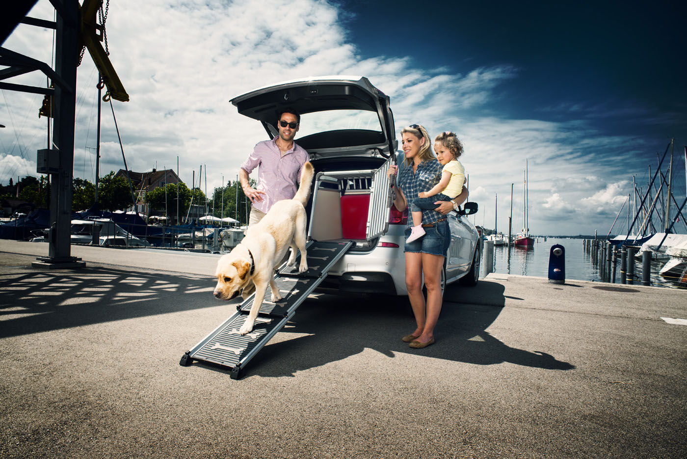 Proline Easy-steps - Loopplank Hond - Uitschuifbaar - zwart