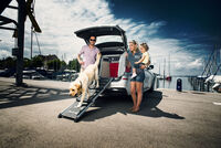 Proline Easy-steps - Loopplank Hond - Uitschuifbaar - zwart