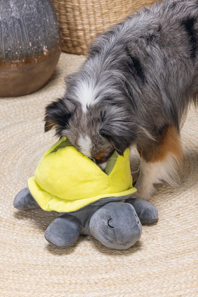 Beeztees Hide and Seek Schildo - Snuffelmat - Hondenspeelgoed - Multi - 15x24x30 cm