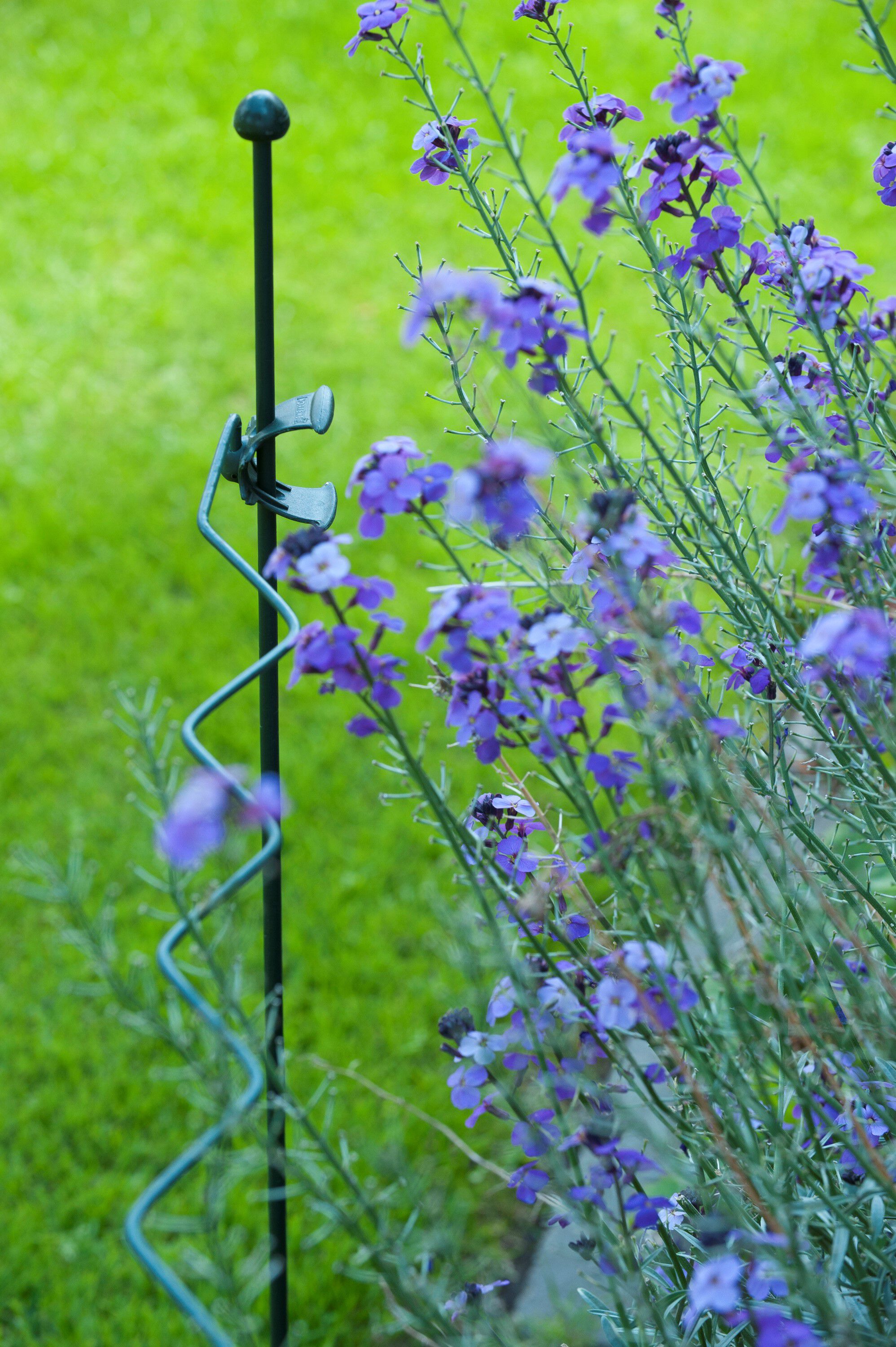 Nature Plantensteun Borderrand Zigzag - Klim- en Geleide Artikelen - 100 cm - 1 stuk Nature Plantensteun Borderrand Zigzag - Klim- en Geleide Artikelen - 100 cm - 1 stuk