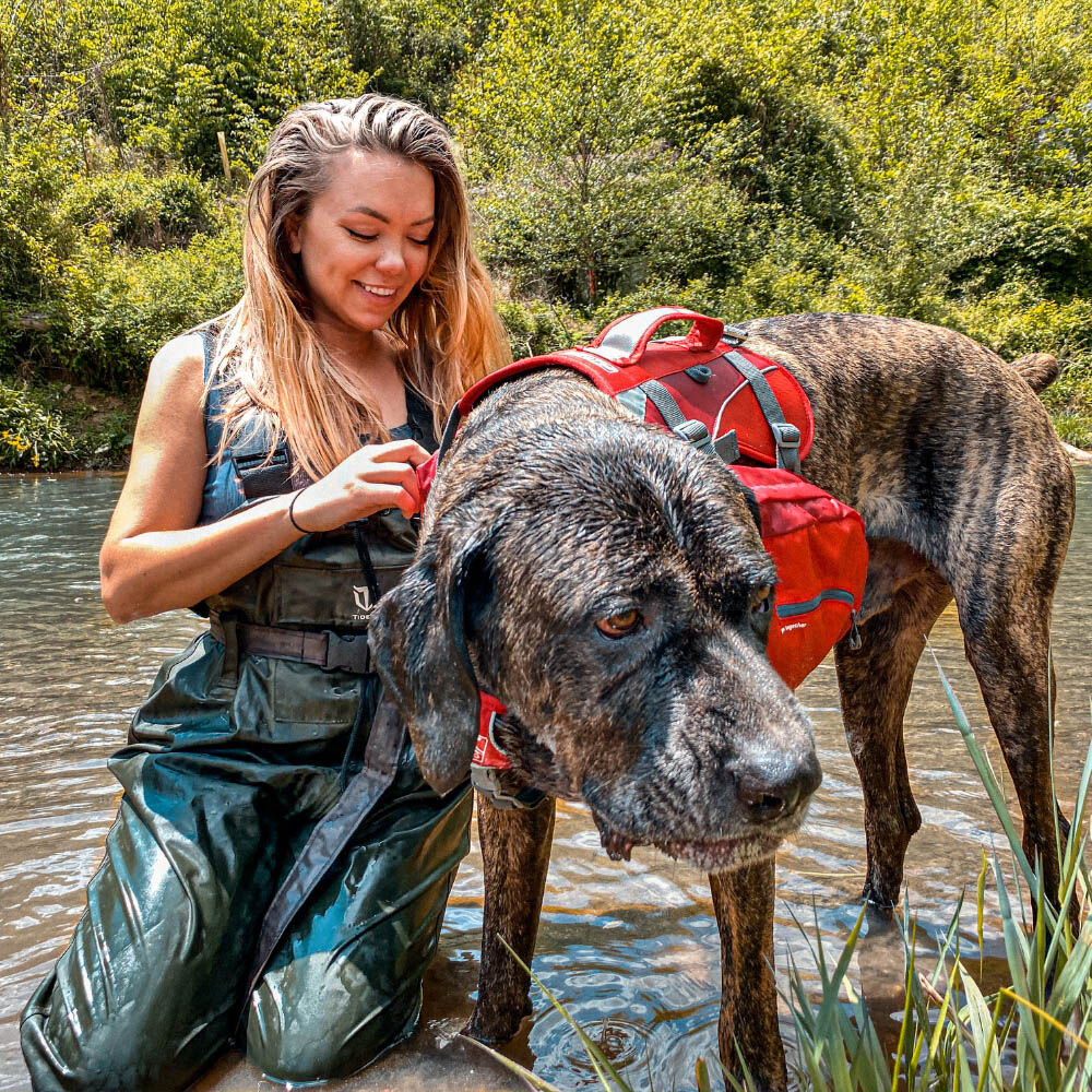 Kurgo Big Baxter Hondenrugzak - Reistas - Rood