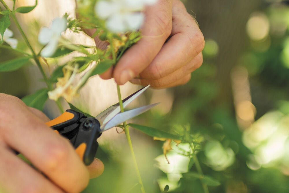 Fiskars Solid Snip SP13 Kruiden - Snoeischaar