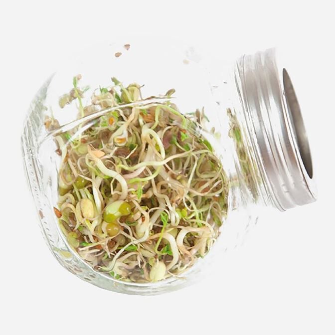 Buzzy® Organic Sprouting - Kiempot Salademix - 7.5 Gram
