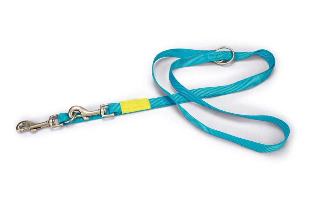 Beeztees Uni - Dressuurlijn - Trainingslijn Hond - lichtblauw - 200 cm