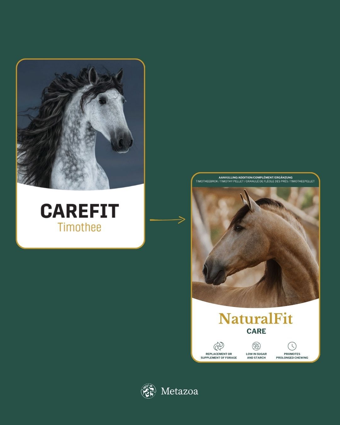 Metazoa Carefit Timothee - Specialiteit - Paardenvoer - 15 Kilogram - Zak