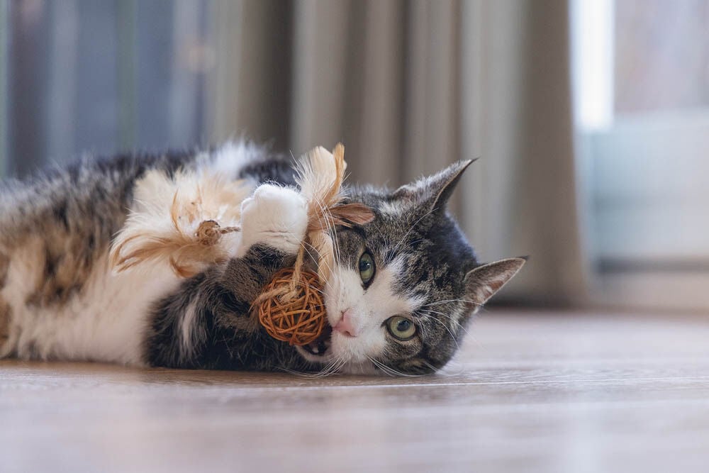 Beeztees Bal Tipy - Kattenspeeltje - Beige