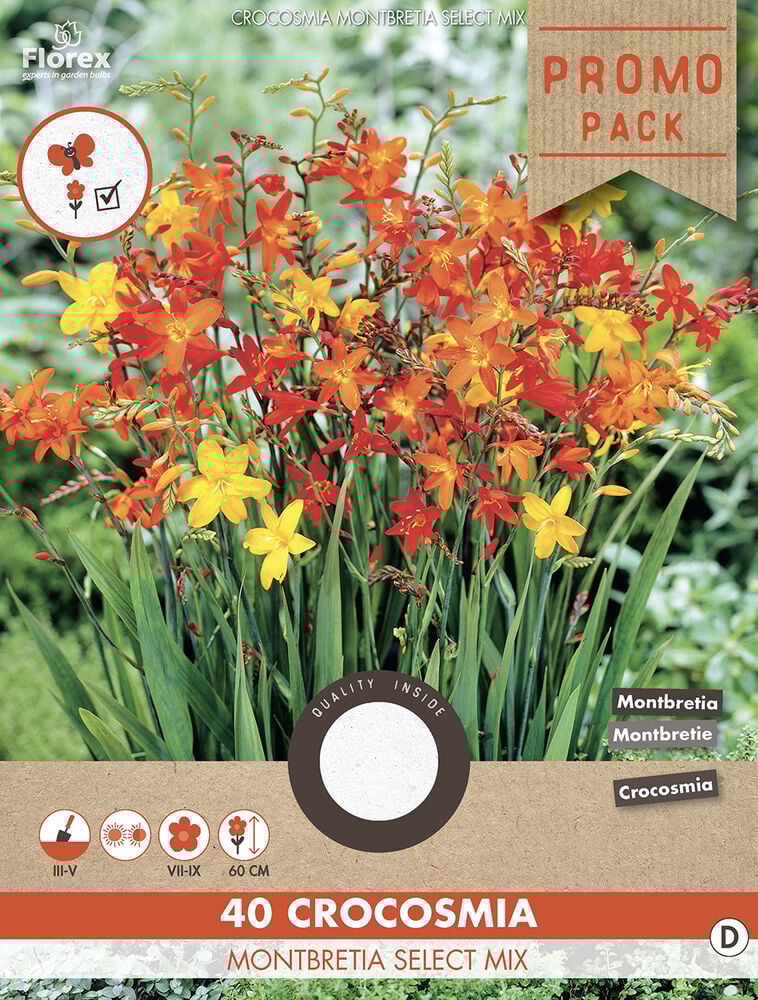 Florex Crocosmia Montbretia - Bloembollen