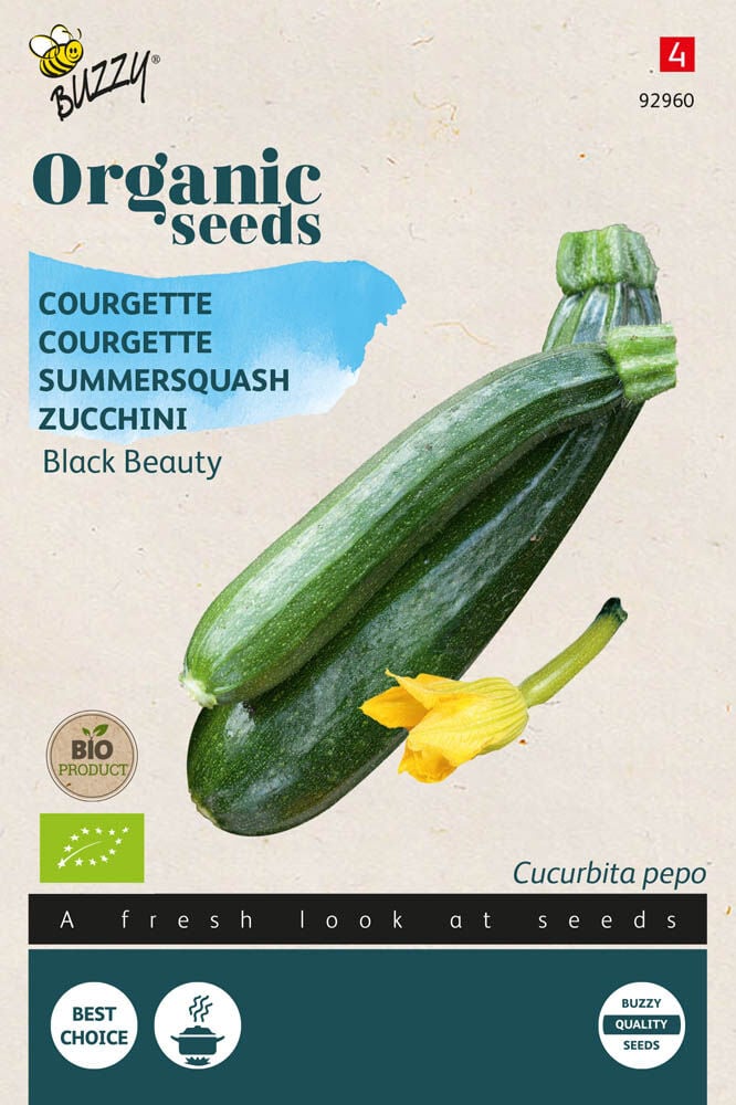 Buzzy Courgette Cucurbita pepo Black Beauty - Courgette