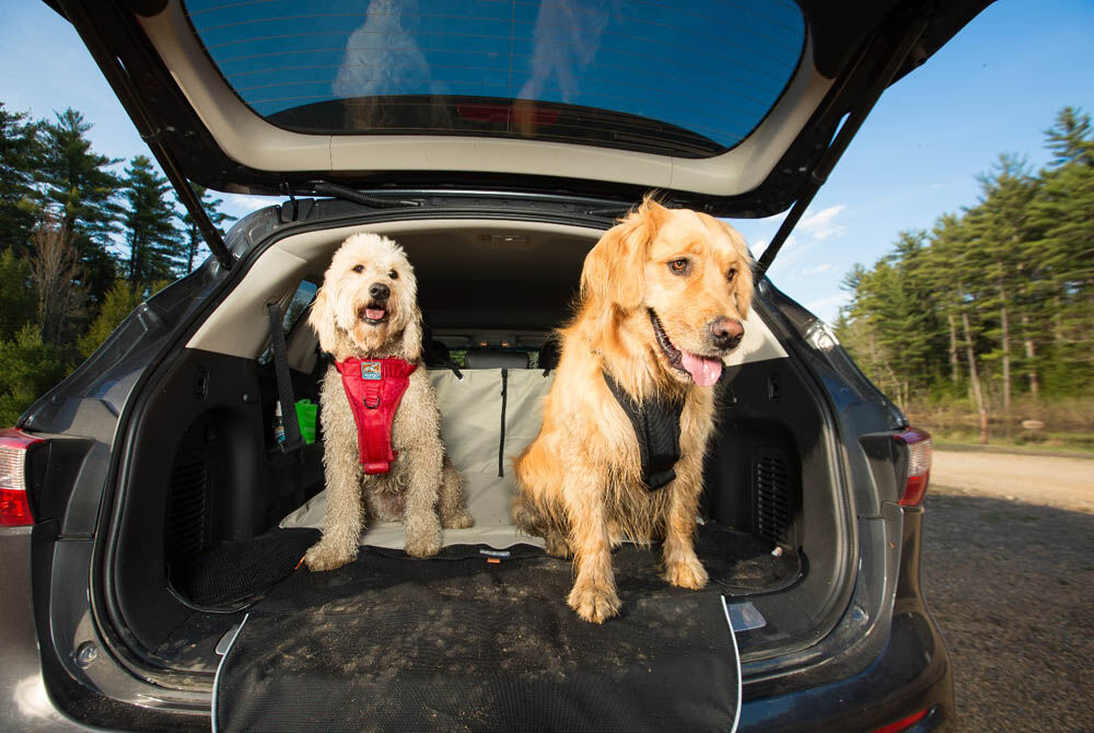 Kurgo Cargo Cape Kofferbak - Beschermhoes - beige