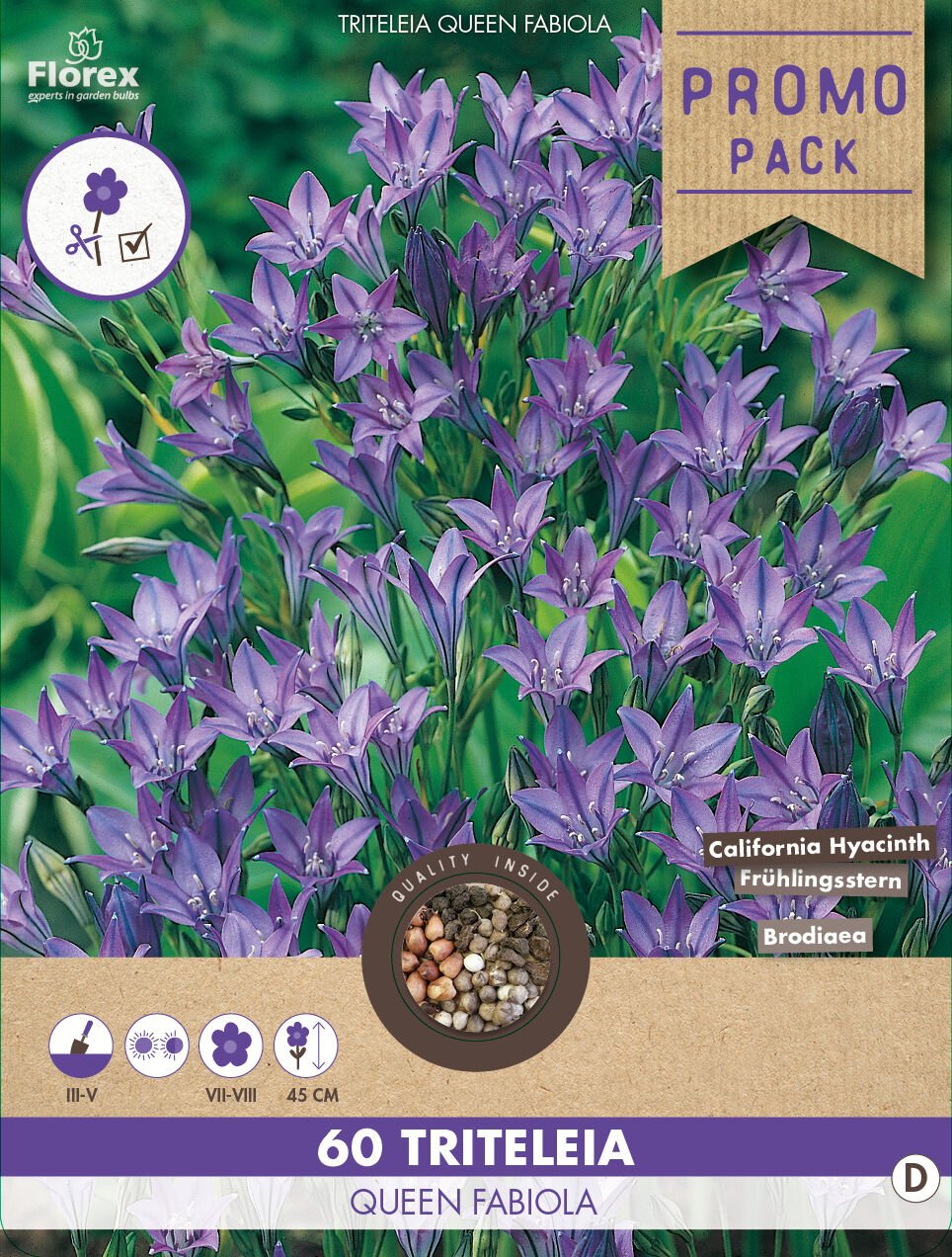 Florex Triteleia/Brodiaea Koningin Fabiola - Bloembollen