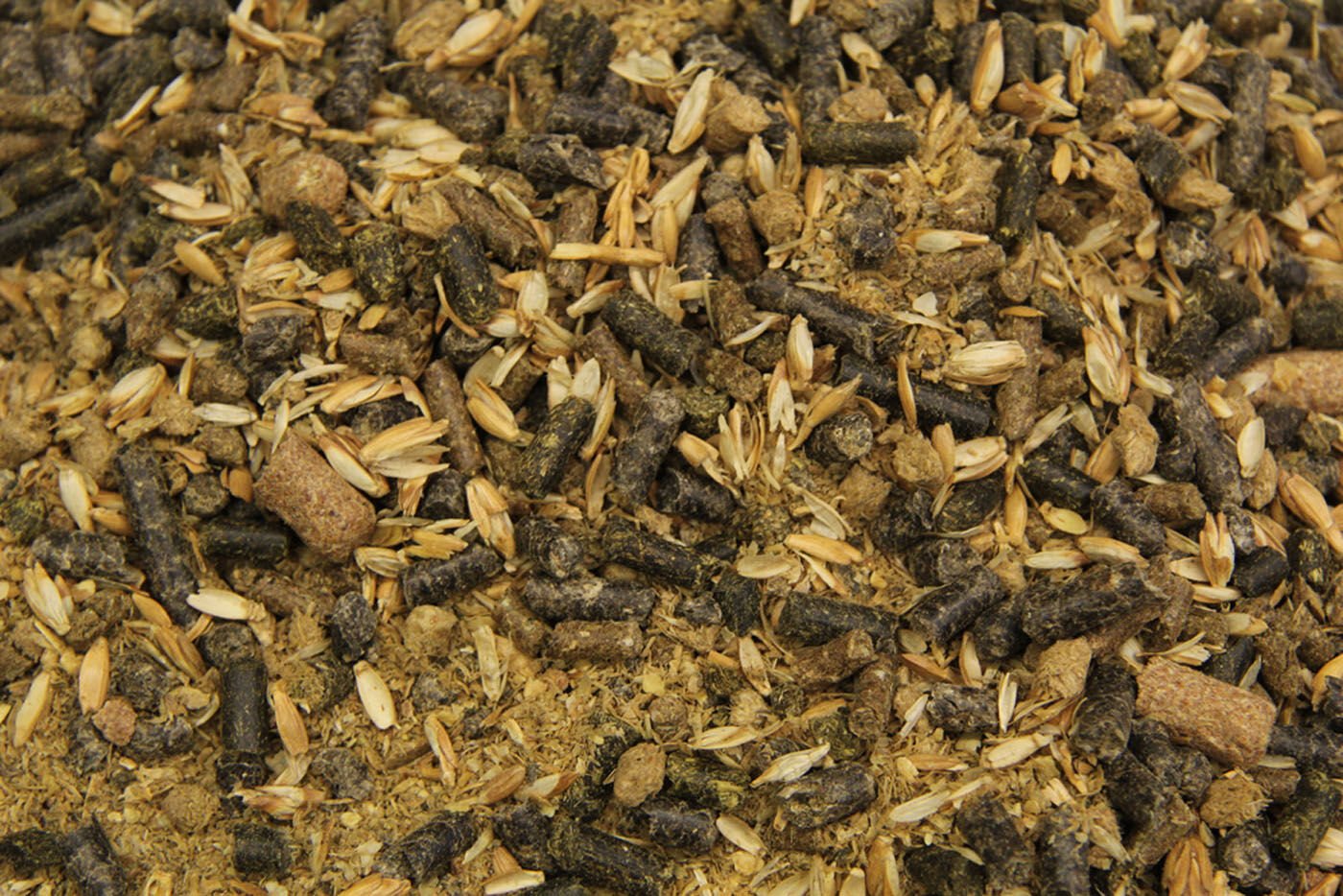 Subli Seniores Priores - Specialiteit - 20 Kilogram - Zak