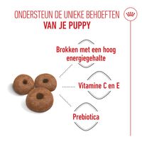 Royal Canin Giant Starter Mother and Babydog - Hondenvoer - 15 Kilogram - gevogelte