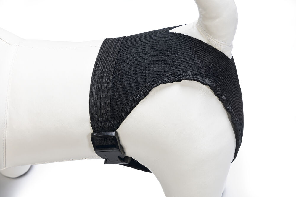 Beeztees - Loopsheidbroekje - Hond - Zwart - XS