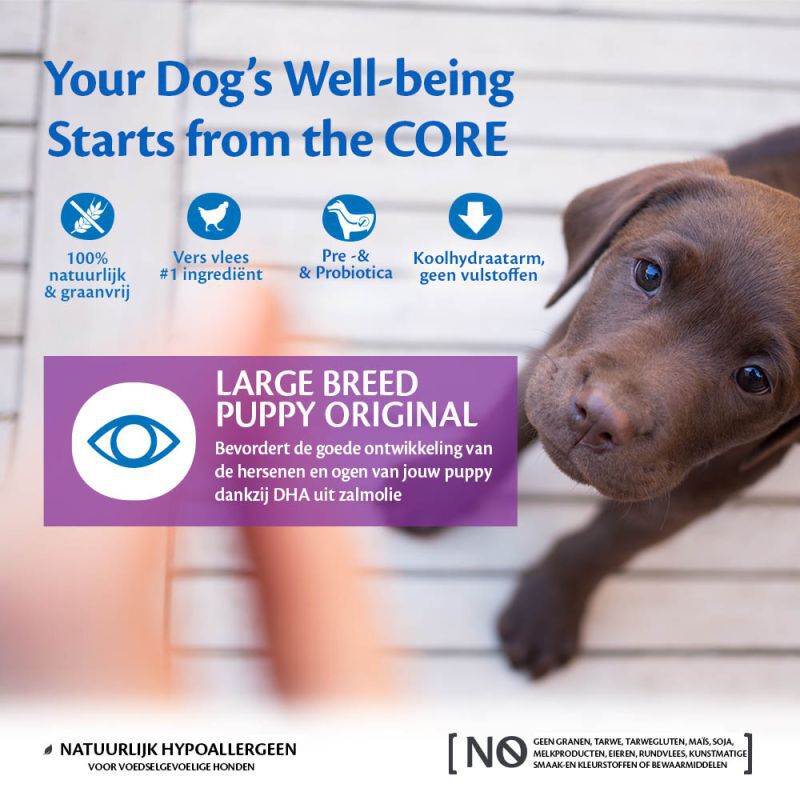 Wellness CORE Puppy Large-Breed - Hondenvoer - 10 Kilogram - kip
