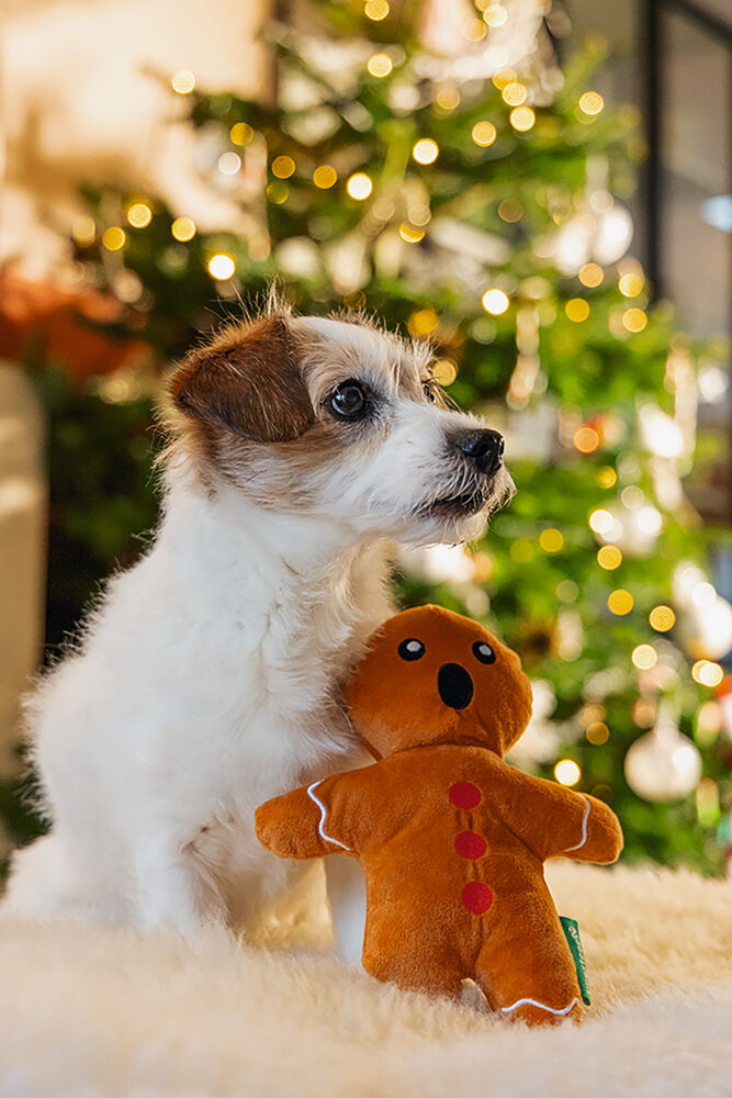 Beeztees Gingerbread - kerstknuffel - 36x19x6 cm