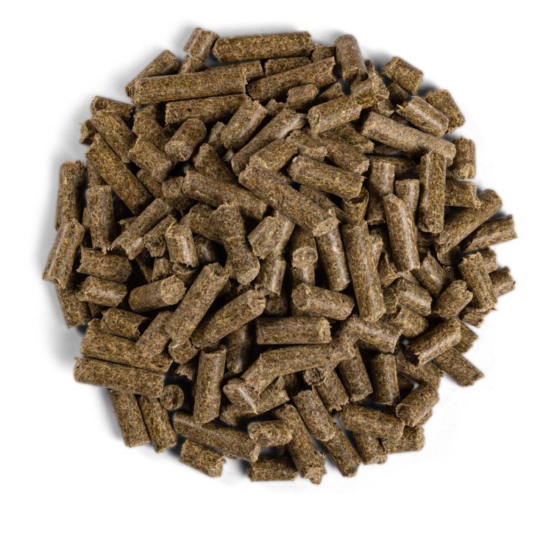 Equilannoo Breeding Cube - Fokkerij - 20 Kilogram