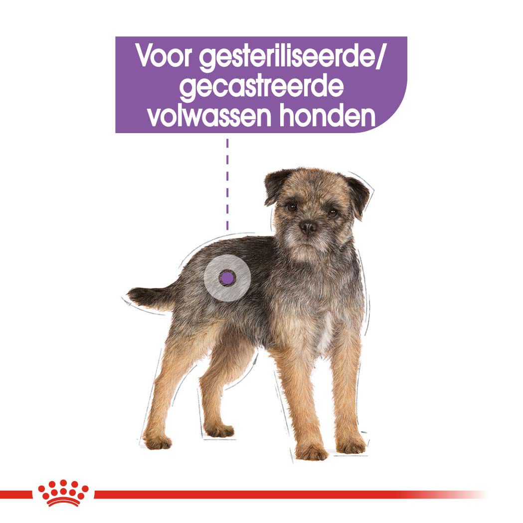 Royal Canin Mini Sterilised - Hondenvoer - 8 Kilogram - gevogelte
