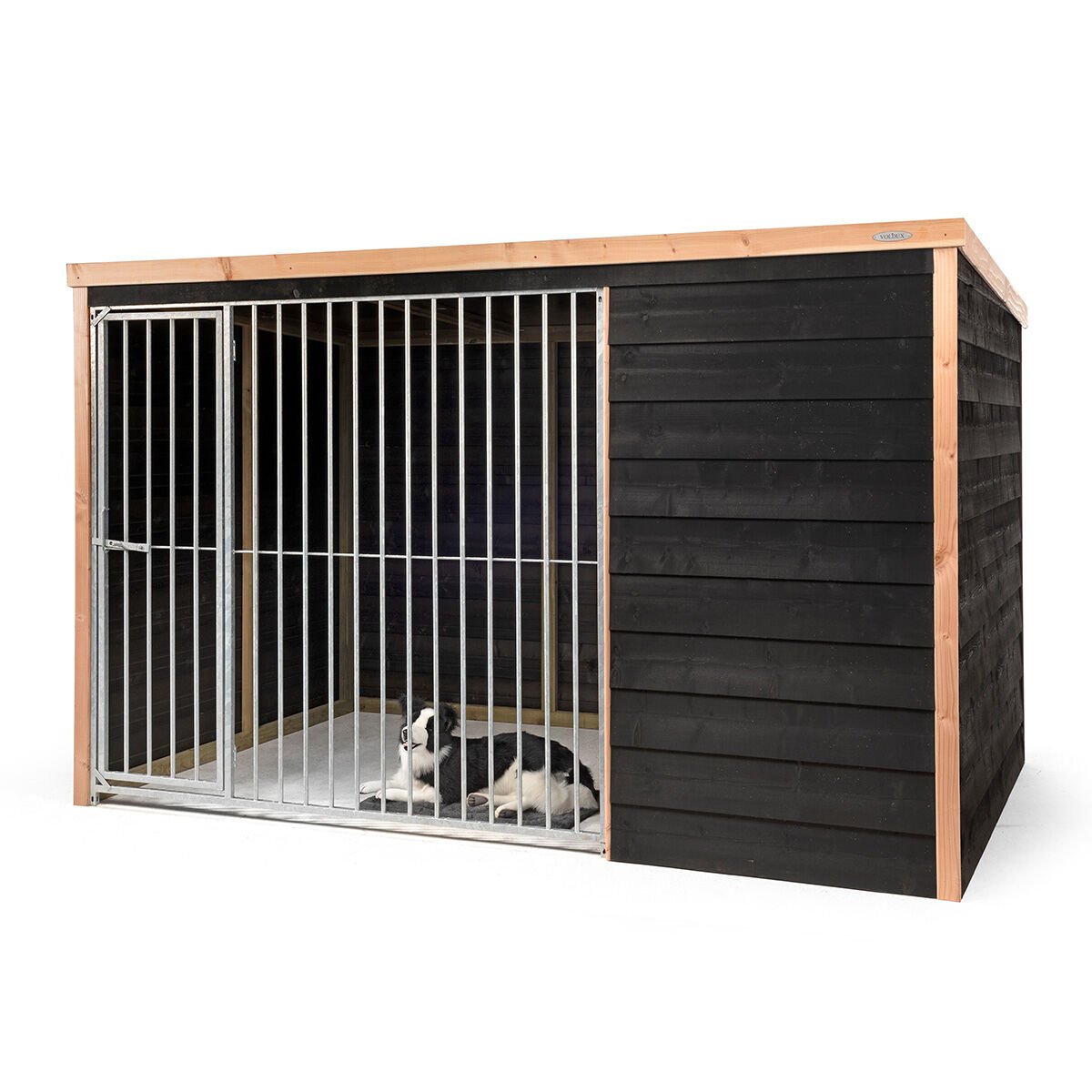 Voldux Rex - Hondenkennel