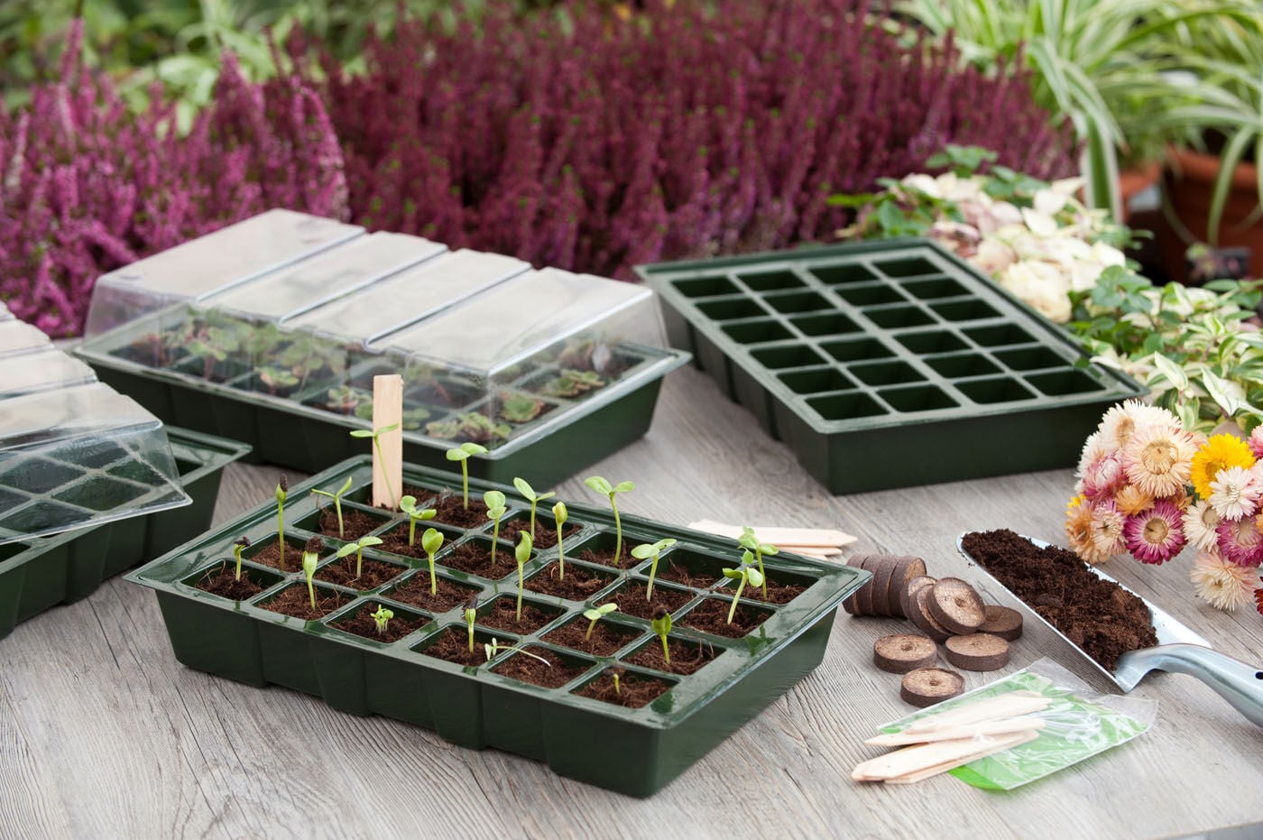 Nature - kweekbakset - 4 stuks - Groen - 23.7x35.5x7 cm