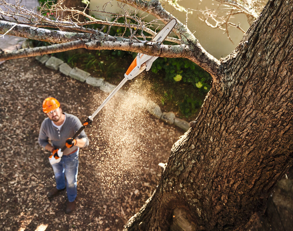 STIHL HTA 50 - Snoeizaag (excl. accu en lader) -